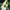 Green peppers peper en zout set