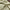 Linen tablecloth 160x380cm Sage green